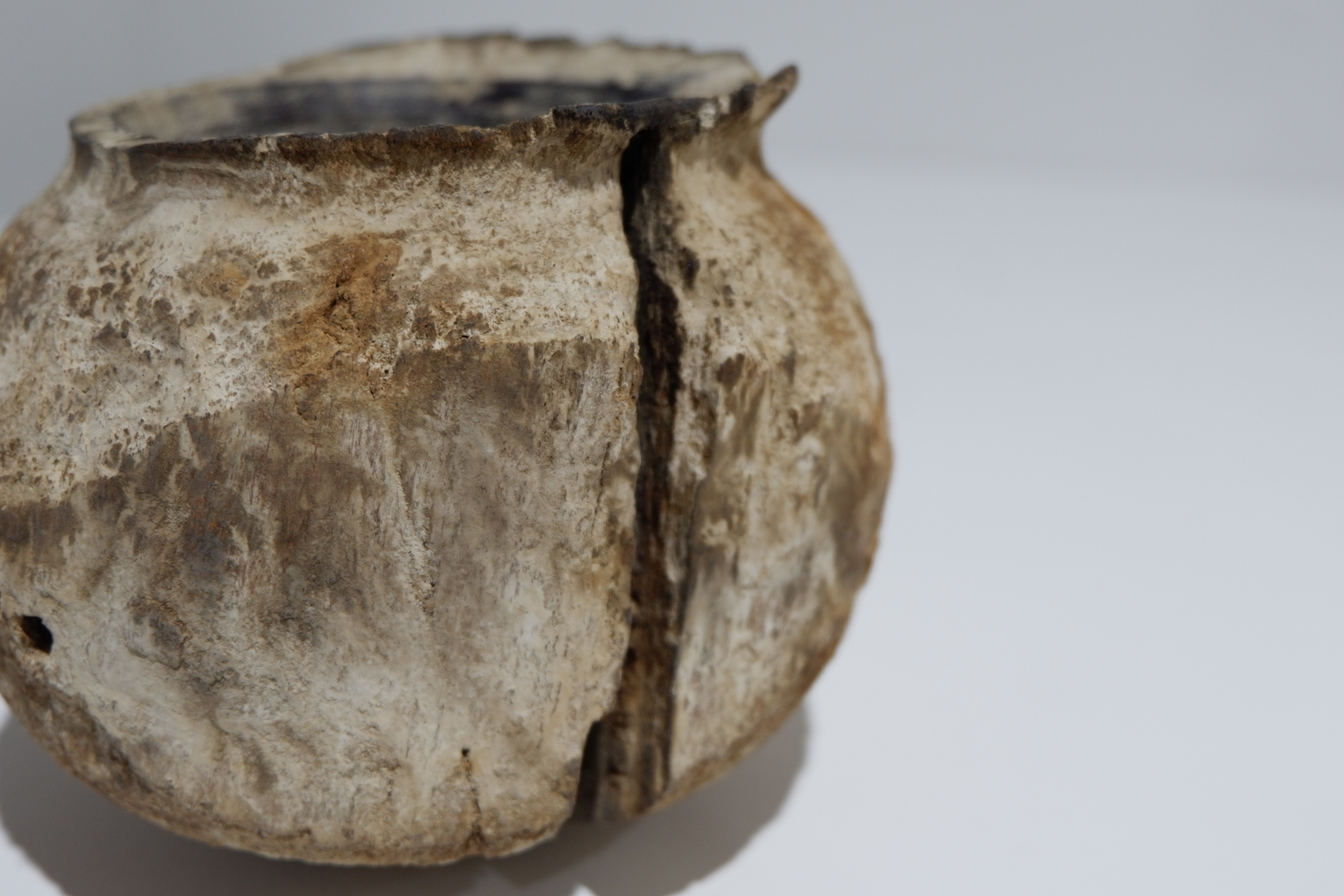 督田昌巳 平壺 – Goyo Gallery