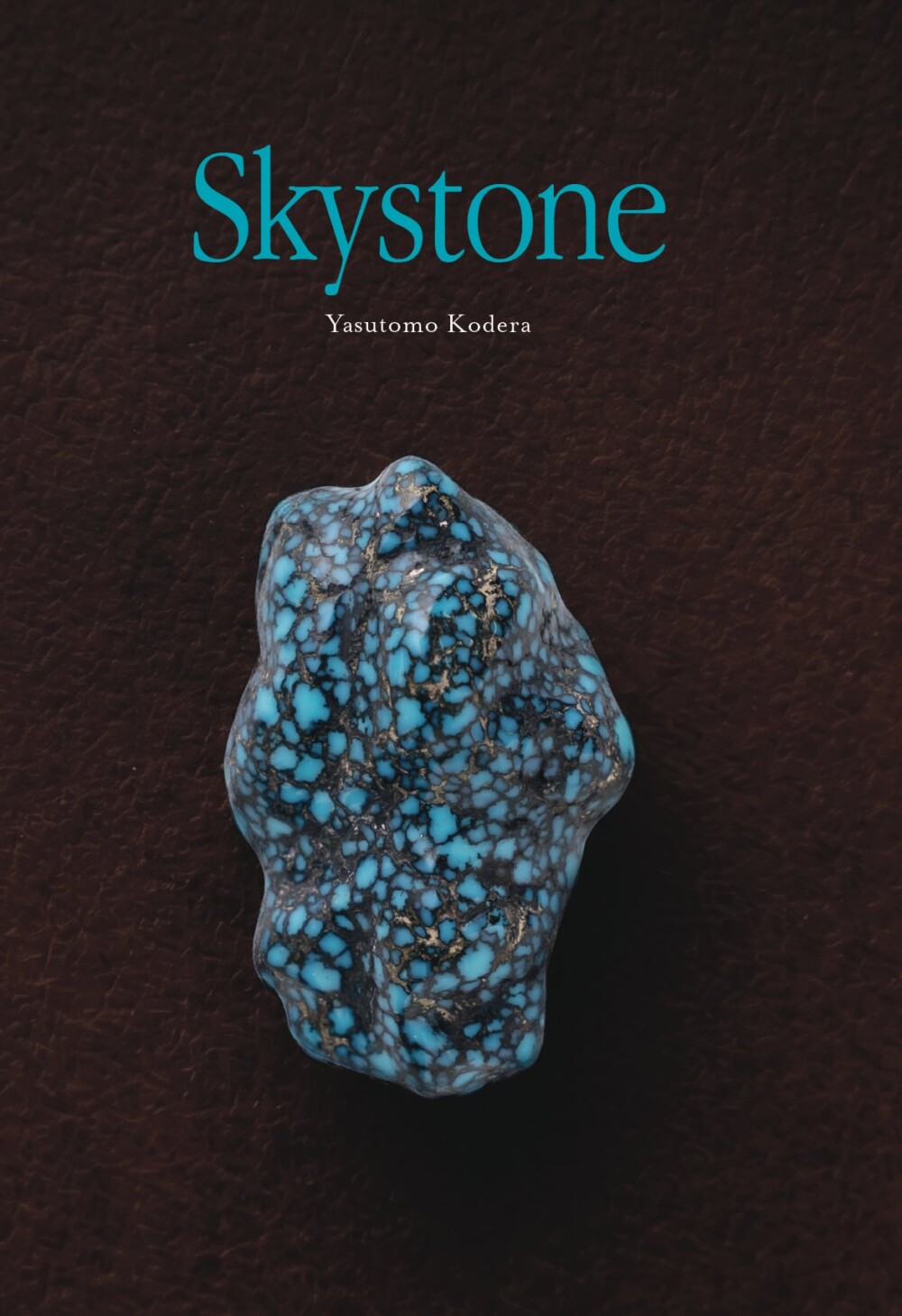 Skystone/Yasutomo Kodera(全160P)